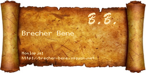 Brecher Bene névjegykártya